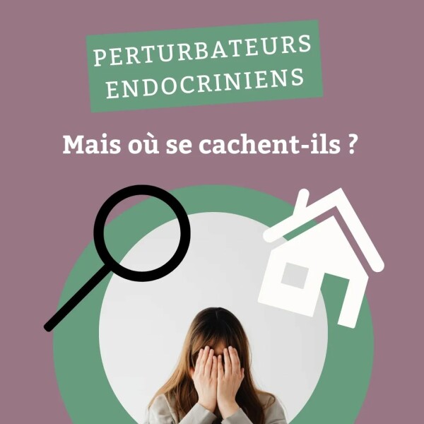 On pense souvent que les perturbateurs endocriniens sont “ailleurs”…